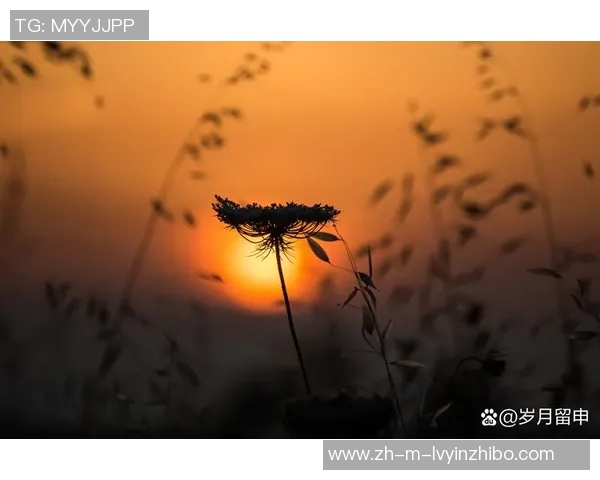 天空与太阳的交响曲探讨光影交织下的自然之美与生命的意义 天空与太阳的交响曲探讨光影交织下的自然之美与生命的意义
